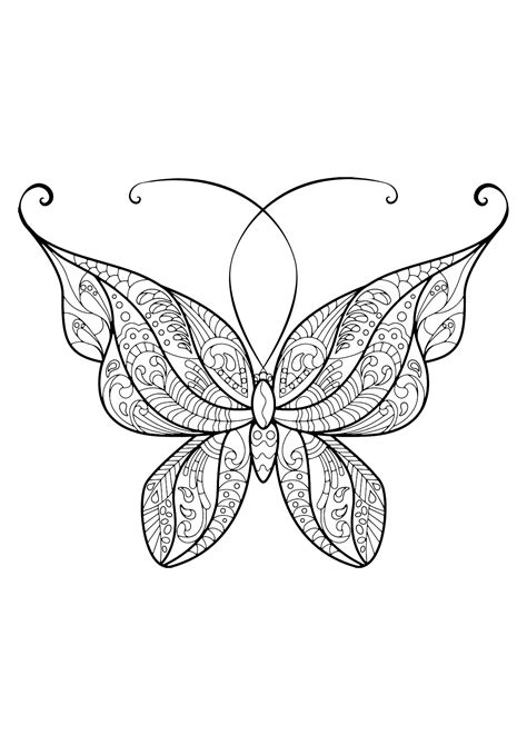 Beautiful Butterfly Drawing At Getdrawings Free Download
