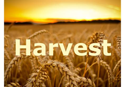 Harvest Mass Be Inspirational