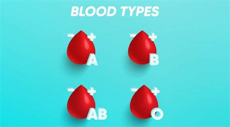 Blood Types What Do They Mean For Your Health Fcp Live In