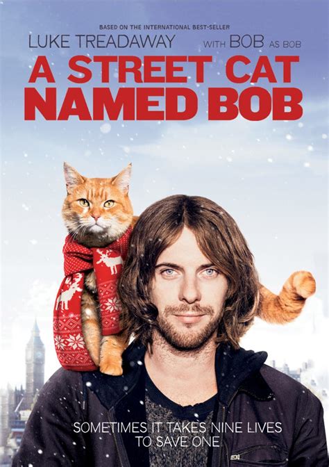 A Street Cat Named Bob Coming To Dvd Blu Ray And Vod On May 9th Fsm