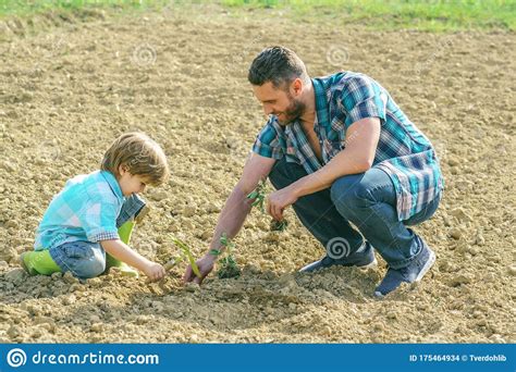 Father Teaching His Son Gardening Son Helping His Father To Plant The