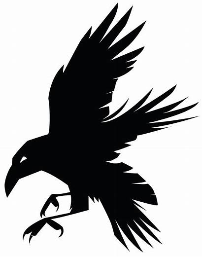Raven Drawing Ravens Transparent Baltimore Logos Pngitem
