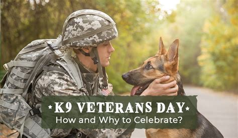 How And Why To Celebrate National K9 Veterans Day 2022