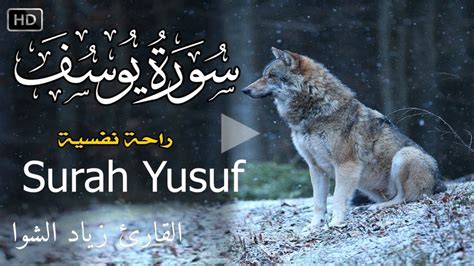 سورة يوسف💎راحة نفسية💚 Surah Yusuf Full Chapter Emotional Quran