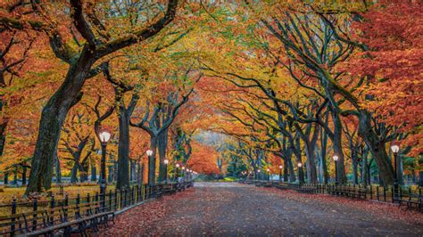 Autumn Colors In Nature Herbst Park New York City Usa 4k Ultra Hd Wallpaper For Desktop Laptop