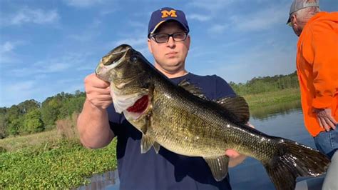 Repeat Trophy Bass Fishing In North Florida On Rodman Reservoir