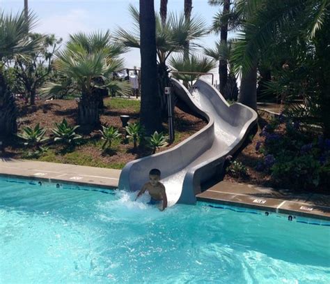 Slide Into The Pool Picture Of Hyatt Regency Huntington Beach Resort