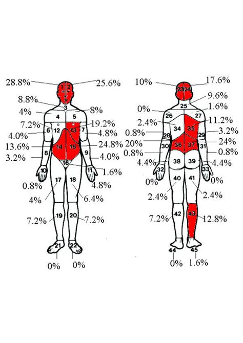 Pain Locations On Body Diagram Download Scientific Diagram