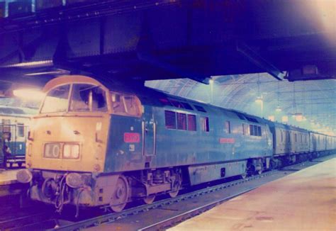Class 52 D1013 At Paddington Station 47100 Merlin Flickr