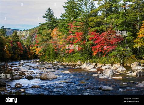 River In The White Mountain National Forest New Hampshire New England