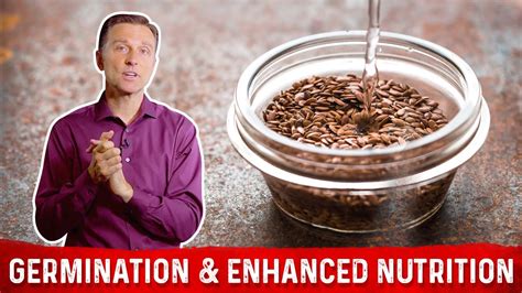 How To Germinate Seeds And Nuts Fast Dr Berg