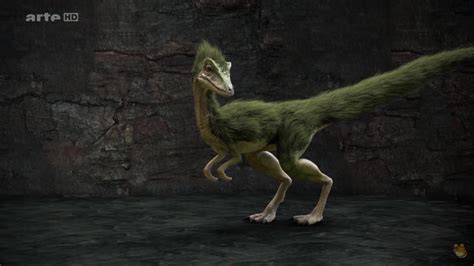 Compsognathus Dinosaur Alive Wiki Fandom