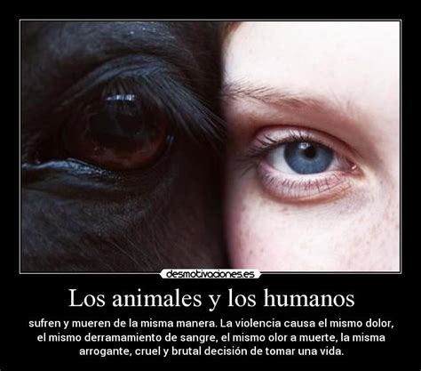 Los Animales Y Los Humanos Desmotivaciones