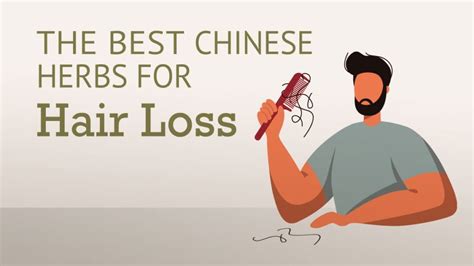 Best Chinese Herbs For Hair Loss Best Chinese Medicines