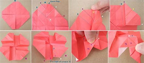 Hier in dieser anleitung zeigen wir ihnen, wie sie ein herbarium anlegen können und liefern ihnen die pdf vorlage für deckblatt und die einzelnen pflanzenseiten gleich mit. origami rose 2-papier falten - fresHouse