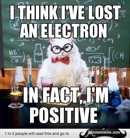 science cat meme  entertainmentmesh