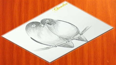Cool Easy Drawing Pencil Drawing A Pair Of Love Birds