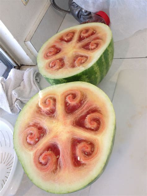 These Beautiful Watermelon Patterns Are Driving Everyone Crazy Bored