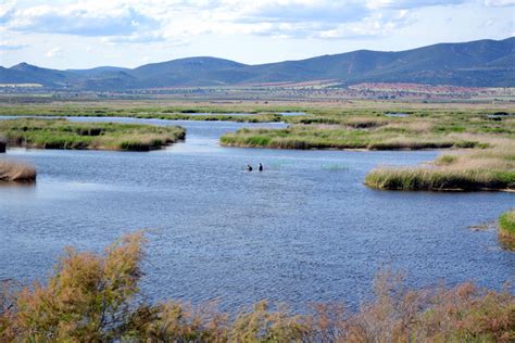 Por sebastián montañez | 11 agosto, 2021 | 2:39 pm. El Parque Nacional de Las Tablas de Daimiel se queda sin ...