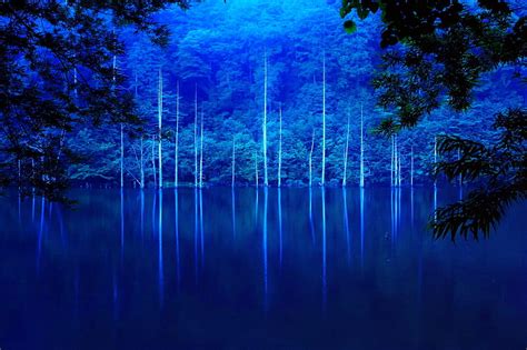 Calm Blue Lake Forest Calmness Bonito Trees Lake Pond Calm