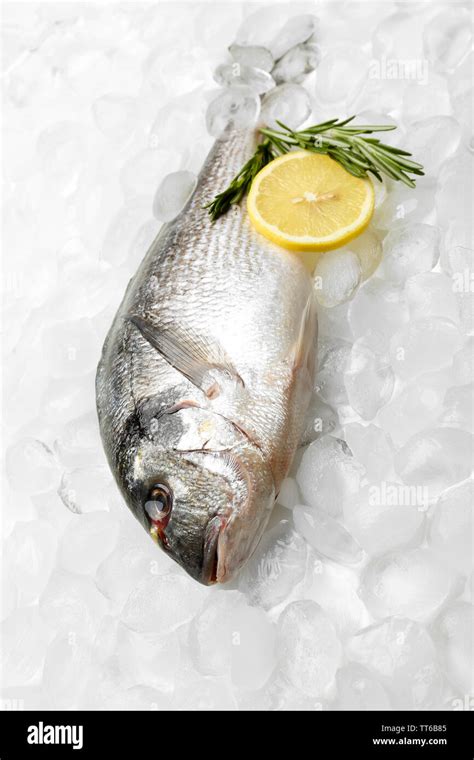 Fresh Fish On Ice Stock Photo Alamy