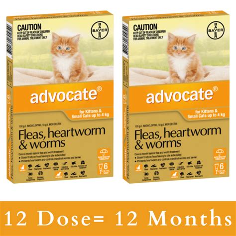 Buy Advocate For Kittens And Small Cats Up To 4kg Orange Fleas