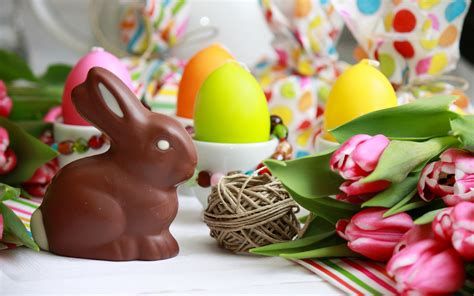 Chocolate Bunnies Easter Edition Sq Online