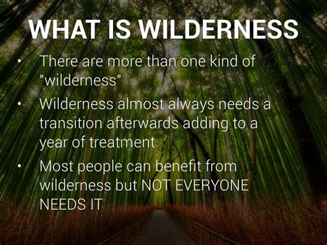 What Is Wilderness By Justin Denson