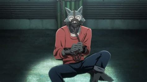 Beastars Season 2 What Will Be The Story And Details We Know