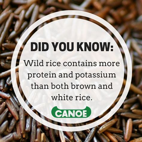 Not Only Is Wild Rice Delicious But It Also Has Several Nutritional