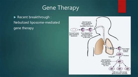 gene therapy for the treatment of cystic fibrosis