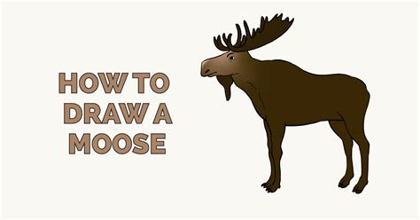 How To Draw A Moose Really Easy Drawing Tutorial