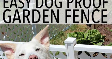 Here at our house we didn't get around to art projects b. Easy Dog Proof Garden Fence | Sunny Day Family