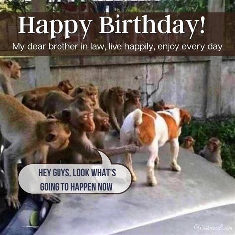 Happy Birthday For Brother In Law Images And Funny Cards