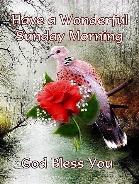 Sunday Good Morning Sister Good Day Quotes Blessed