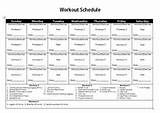 Muscle Workout Schedule Images