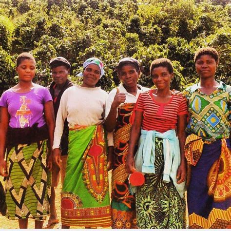 Ladies Of Setemwa Coffee Farm In Malawi Coffee Origin Coffee Farm