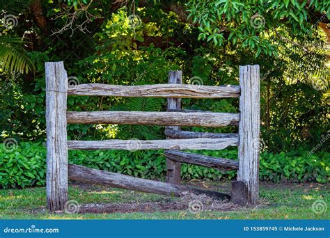 An Old Wooden Fence In Bushland Stock Image Image Of Forest Bushland