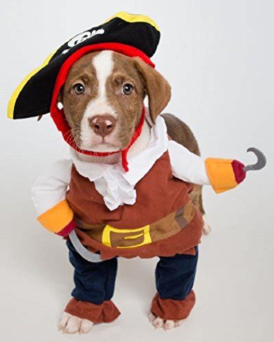Pirate Dog Costume Limited Edition
