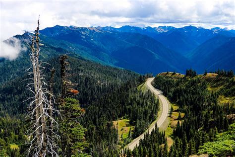 Plan Your Trip To Olympic National Park Roadtrippers