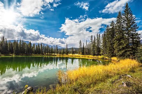 Sunny Autumn Day In Jasper National Park Stock Image Image Of Green