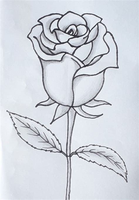 Como Desenhar Uma Rosa Flower Drawing Hipster Drawings Cool Art