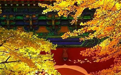 Six Reasons To Visit Beijing In Autumn