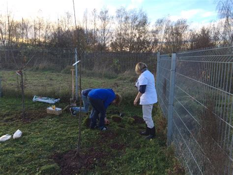4 phänologische gärten als bestandteil phänologischer beobachtungsnetze. Phänologischer Garten | Lingemann Gymnasium