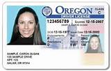 Photos of Oregon Business License Renewal