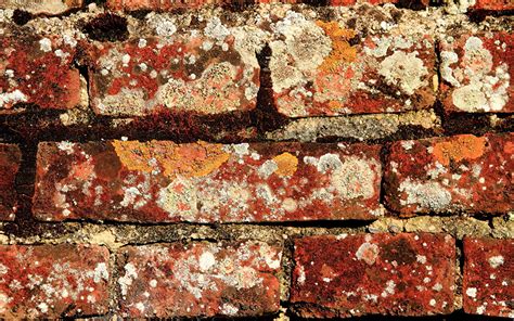 Photo Texture Made Of Bricks Wall Closeup