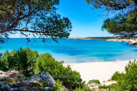 The Best Of The Cote Bleueblue Coast In Provence