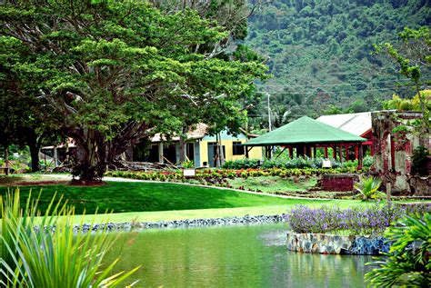 Register birds, insects and everything that can add to biodiversity. Lago Jardin Botanico Caguas | Caguas, PR Botanical Garden ...