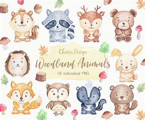 Baby Forest Animals Clipart