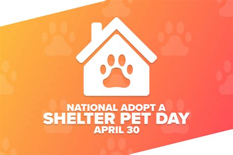 Adopt A New Pet Its National Adopt A Shelter Pet Day Here On The